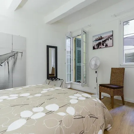 Large One Bedroom Flat In The Old Town Nizza